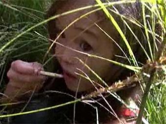 В тайге спасли четырехлетнюю девочку, которая одна провела в лесу 10 дней