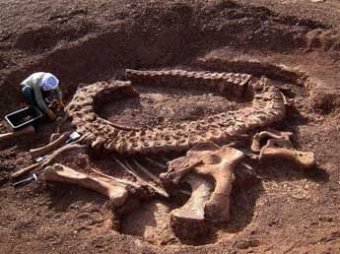 Археологи нашли в Мексике самое большое в мире кладбище динозавров