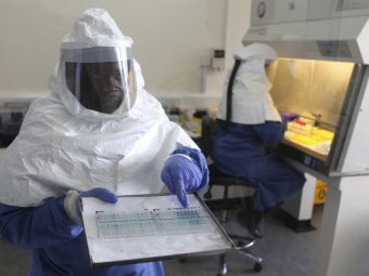 Вирус Эбола, последние новости 7 октября 2014: в Испании зафиксирован первый случай заражения