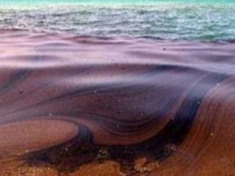 Масштабный разлив нефти произошел на юге Приморья