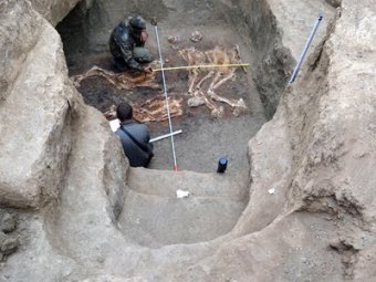 На Кубани найдены древние захоронения 2-метровых людей