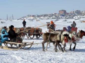 В тундре на Ямале неизвестные зверски убили оленеводов