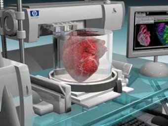 В России впервые напечатают живой орган на 3D-принтере