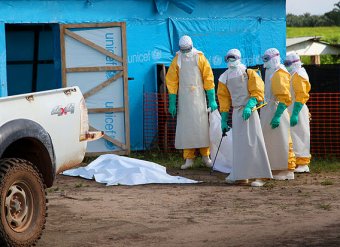 СМИ: на смену Эболе придёт чикунгунья