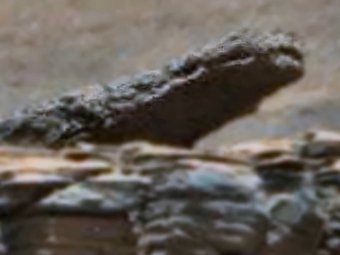 Астроном-любитель нашёл на Марсе каменного крокодила