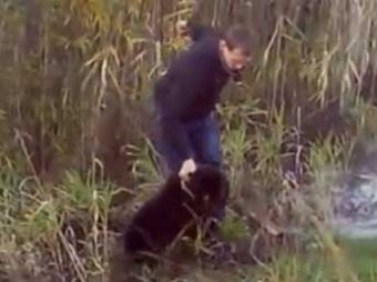 Пьяный мужчина трубой до смерти забил медвежонка в Угре, видео попало в Сеть