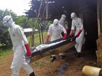 Число жертв смертельного вируса Эбола превысило 5 тыс. человек