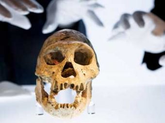 В Воронежской области нашли останки человека, жившего 40 тысяч лет назад