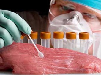 Россия запретила ввоз мяса из Венгрии, регионов Италии и Черногории