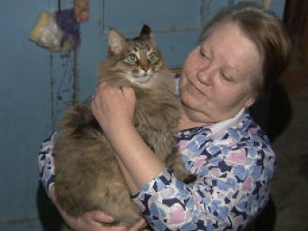 Кошка из Обнинска, спасшая ребёнка-подкидыша, стала героиней мировых СМИ