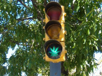Власти Ямайки одобрили частичную легализацию марихуаны