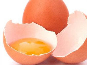 Учёные сделали сваренные вкрутую яйца снова сырыми
