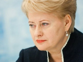 Президент Литвы предупредила Прибалтику о военной угрозе со стороны России