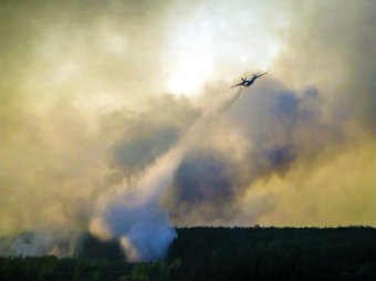 СМИ: Пожар в районе ЧАЭС потушен