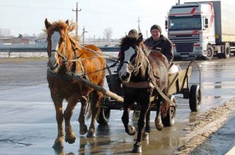 На Львовщине милиционера зверски убили, привязав к телеге с лошадьми