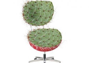 Слабое место офисных работников: как не насидеть геморрой