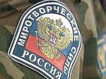 Депутаты Госдумы предложили Шойгу отправить добровольцев на Донбасс