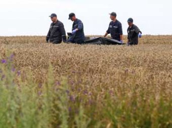 В ДНР сообщили об обнаружении на месте падения Boeing около 2,5 тыс. фрагментов тел