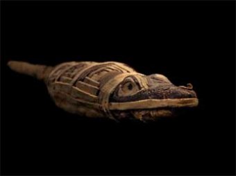 Ученые выяснили, что треть египетских мумий пустые внутри