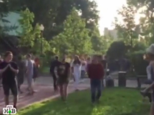 В Парке Горького в Москве произошла массовая драка (видео)