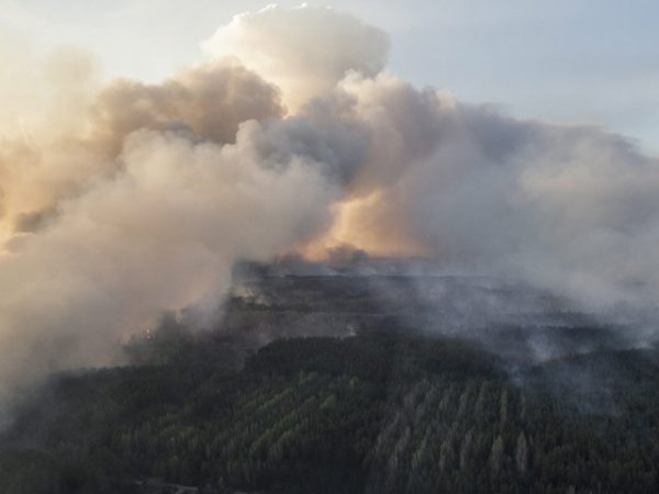 В "Чернобыльской пуще" огонь охватил 130 гектаров леса