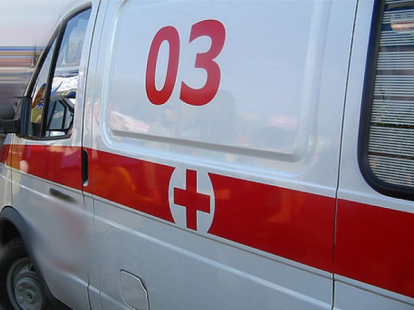 Страшная авария в Омской области: автомобиль врезался в остановку, 4 погибших (фото)