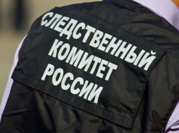 В Химках задержаны угонщики Як-52 в Тюмени