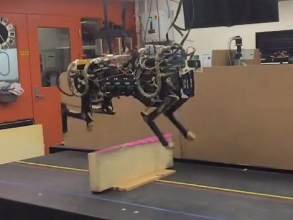 Учёные "научили" прыгать через барьер робота-гепарда