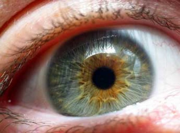 Ученые научились определять потенциального алкоголика по цвету глаз