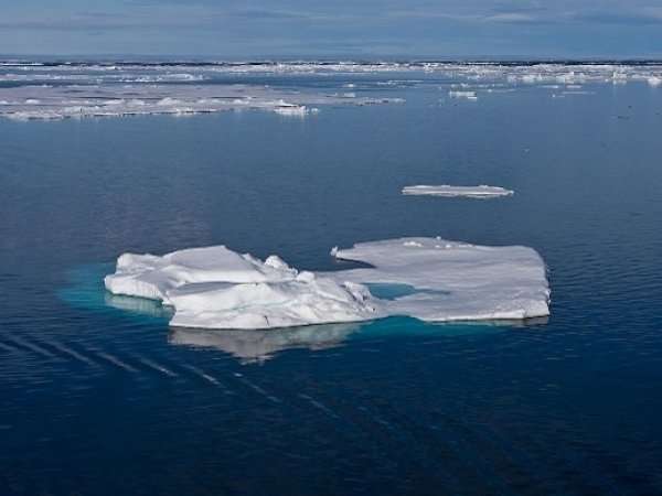 На дрейфующей льдине в Арктике был обнаружен российский путешественник