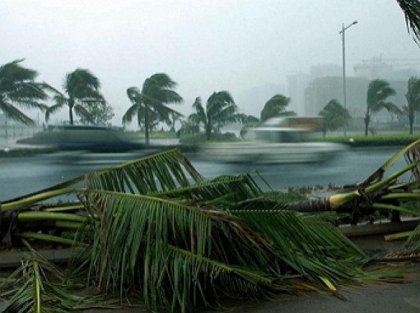 Около 1 млн человек эвакуированы в Китае из-за тайфуна «Чан-хом»