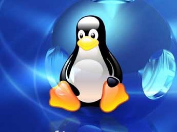 Российские чиновники отказываются от Windows в пользу Linux