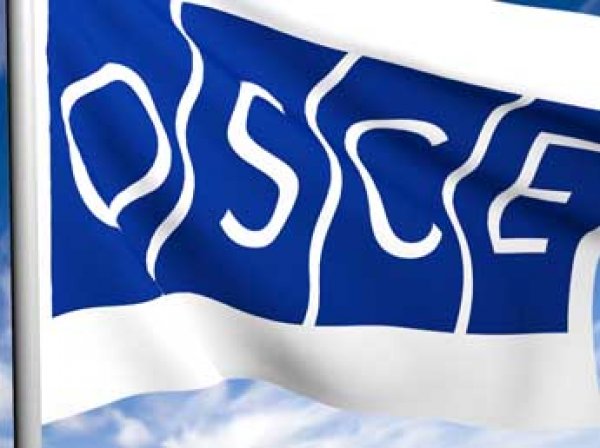 Несмотря на призывы Финляндии, российская делегация не поедет на ассамблею ОБСЕ