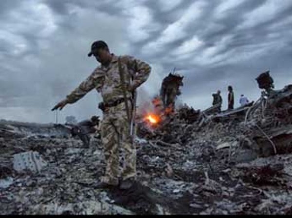 Крушение Boeing под Донецком: в СМИ попало видео ополченцев с места крушения "Боинга" (видео, фото)
