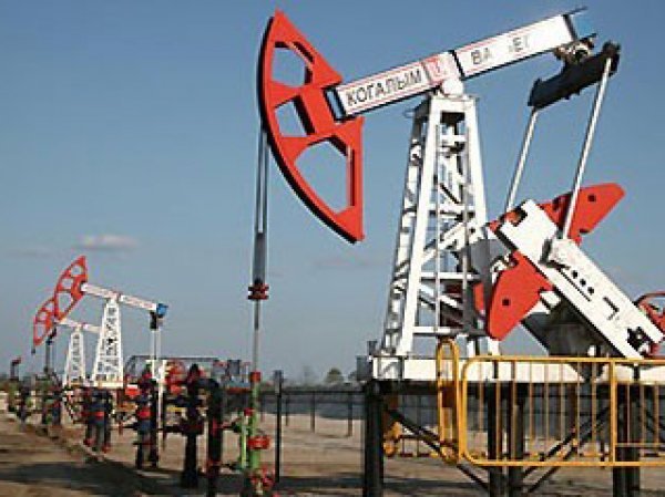 Курс доллара сегодня, 28.08.2015: эксперты назвали цену нефти, при которой наступит крах финансовой системы РФ