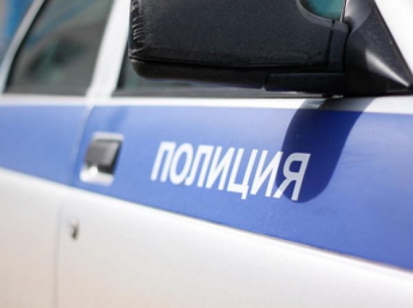В Архангельской области пьяный водитель сбил группу подростков
