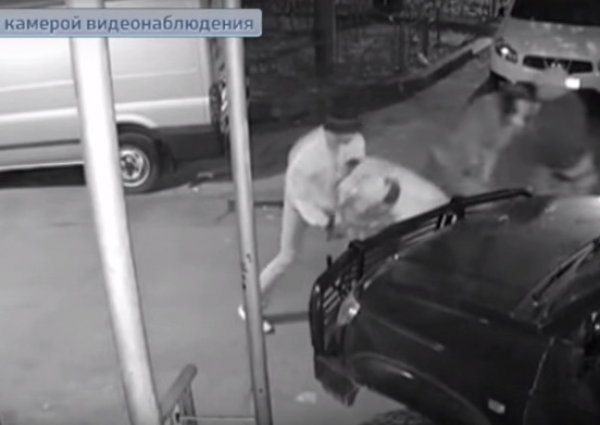 Жестокое избиение главы фирмы «Мелодия» Андрея Кричевского попало на видео