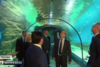 Океанариум "Москвариум" на ВДНХ станет крупнейшим в Европе (фото, видео)
