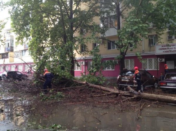 Ураган на Ставрополье и Кубани 2015: на юг России 19 августа обрушился ветер с градом (ВИДЕО)