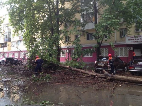 Ураган на Ставрополье и Кубани 2015: на юг России 19 августа обрушился ветер с градом (ВИДЕО)