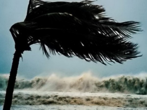 Тропический шторм "Эрика" разрушил карибское государство Доминика (фото, видео)