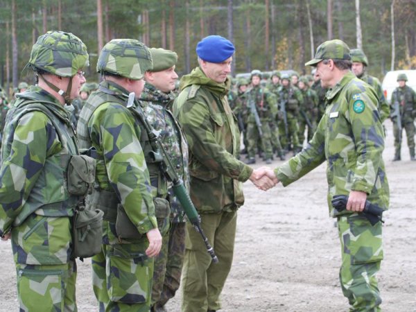 Финляндия и Швеция заявили о возможности создания альтернативы НАТО