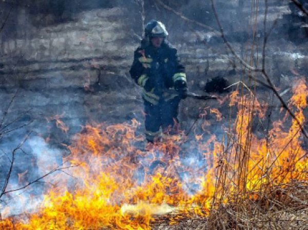 Пожары в Бурятии, последние новости: лесные пожары в Бурятии пошутены