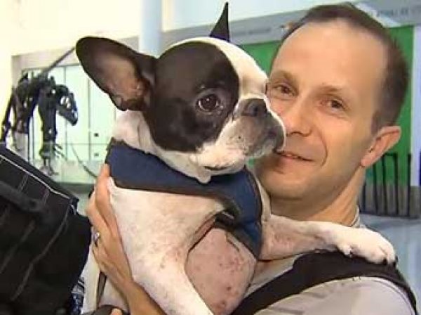 Канадский пилот экстренно развернул международный рейс ради спасения собаки