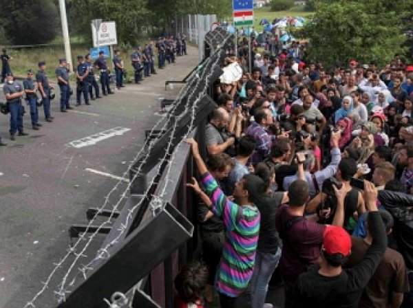 20 полицейских пострадали во время столкновений на границе Венгрии и Сербии
