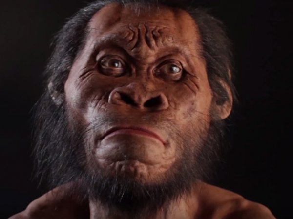 Антропологи описали новый вид человека с очень маленьким мозгом