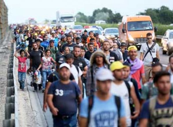 Хорватия закрыла пограничные переходы с Сербией из-за наплыва беженцев