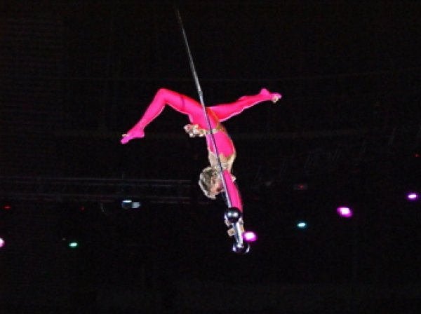 В Сети опубликовано видео падения воздушной гимнастки из-под купола цирка