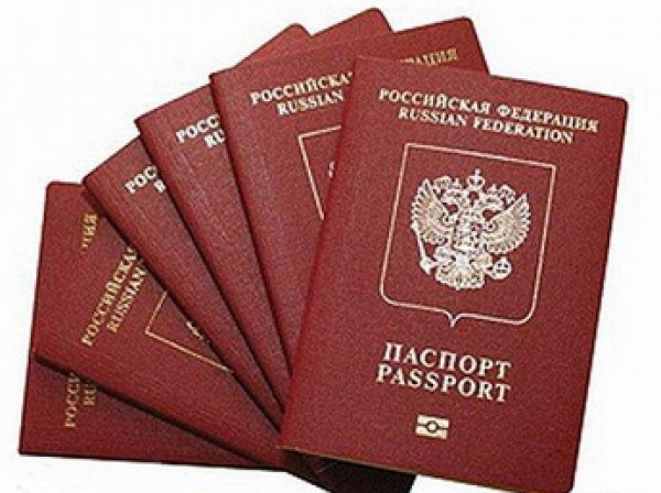 Правительство РФ одобрило законопроект о выдачи россиянам двух загранпаспортов