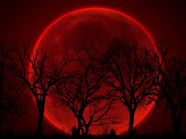 "Кровавая Луна" 28 сентября 2015: где можно наблюдать? (фото)